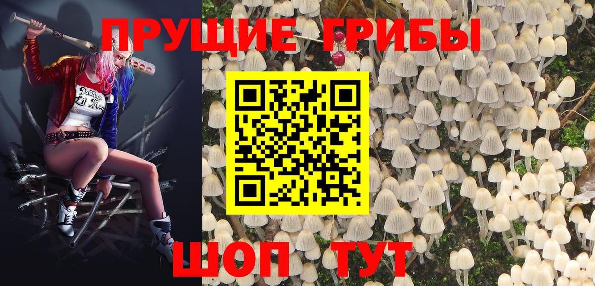 Псилоцибиновые грибы прущие грибы Пыть-Ях