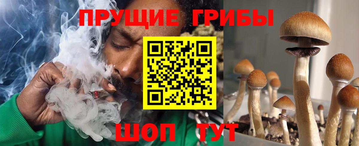Пыть-Ях  Галлюциногенные грибы прущие грибы  Вход с VPN 
